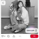 반려견 2호점 이미지