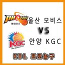 한수인삼 이미지