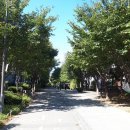 기사님분식 이미지