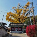 영동향교 이미지