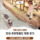 가-17 | 평택 안성 쥬쥬핑월드 후기 ㅣ 17개월 아이랑 가볼만한 곳, 실내 키즈카페