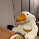 안양농장 이미지