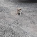 학익체육관 이미지