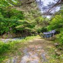 숲과개울펜션야영장 이미지