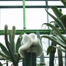 바르바커피 이미지