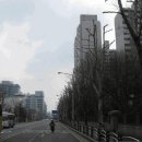 신성부동산컨설팅