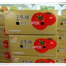 미중농장 이미지