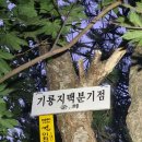 기룡마을회관 이미지