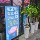 원두뒷고기 | 경산 고기집 추천 원두뒷고기 숯불구이 경산 맛집