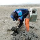 탄도 섬마을 이미지