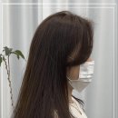 우디헤어 이미지