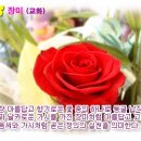 초전중학교 이미지