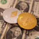 머지고래 이미지