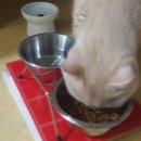 신촌동물병원 이미지