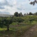 표선면-14 이미지