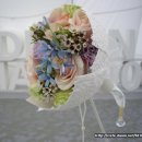 예화디자인 Daum카페