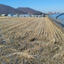 달천동사무소 이미지