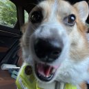 다복향 마라탕 목동점 | 2025 가을 上