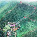 대관령농협주유소 이미지