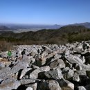 달마고도 이미지