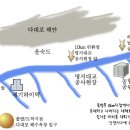 김길도 스포츠패트롤 대장님~부산노동절 기념 다대포 마라톤 패트롤 의뢰 입니다.(4월27일) 이미지