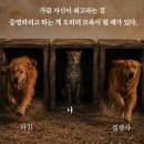 자신만의 줏대를 지커라! 이미지