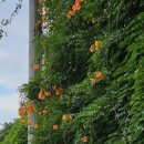 희망체육공원 배드민턴장 이미지