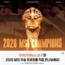 MSI 트로피 전시 (in 63빌딩) 이미지