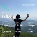 155 | 천마산 🌳 26년 5월 16일의 산행 (812m)