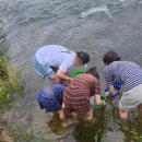 푸름목장 이미지