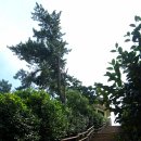 백제여관 이미지