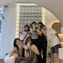 다영황 이미지