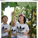 소망어린이집 이미지