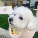 폴짝그루밍 이미지