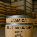 블루마운틴 스크린 이미지