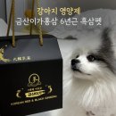 금산홍삼사료 | 강아지 영양제 추천, 6년근 흑삼으로 챙기는 강아지 건강 관리, 금산이가홍삼 솔직 리뷰