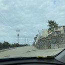 더블스테이 또또멍5호 이미지