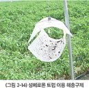성숙농장 | 주말농장 채소텃밭 농작물의 병해충 및 수확의 기쁨