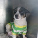 남현동주민센터 이미지