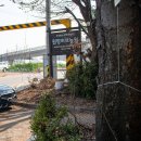 수인농원 이미지