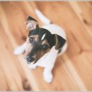 유림약국 이미지