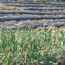 상대동3 이미지