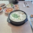 [직장인 일상일기] 우리동네 소금빵 맛집 / 혼주한복 정복기 / 식전영상 정복기