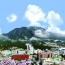 계절따라 이미지