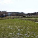 늠내길 1코스 숲길 이미지