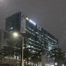 목요일 | 금천구청 평일 야간 혼인신고 하고 온 후기 (목요일 야간 민원실)