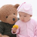 스튜디오 홍시 Daum카페