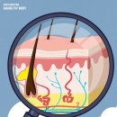 헬스라이프 이미지