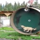 한국웰빙센터 이미지