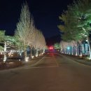 애슐리퀸즈 켄싱턴가평점 이미지